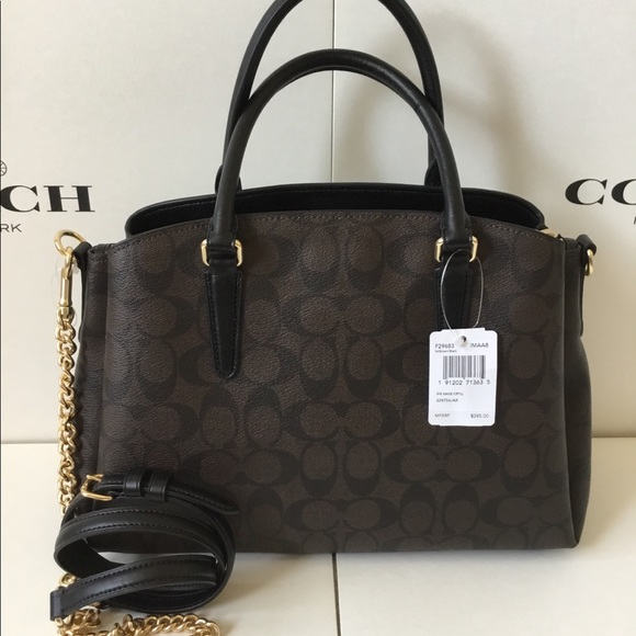 🌷Coach Signature Sage Carryall NWT. - Picture 5 of 8